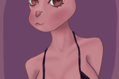 2025-03-12-kittycat